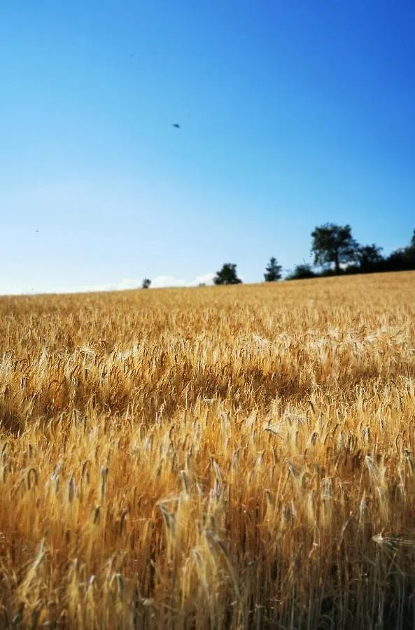 Evasion Nature Et Convivialite Sourcieux-les-Mines Francia