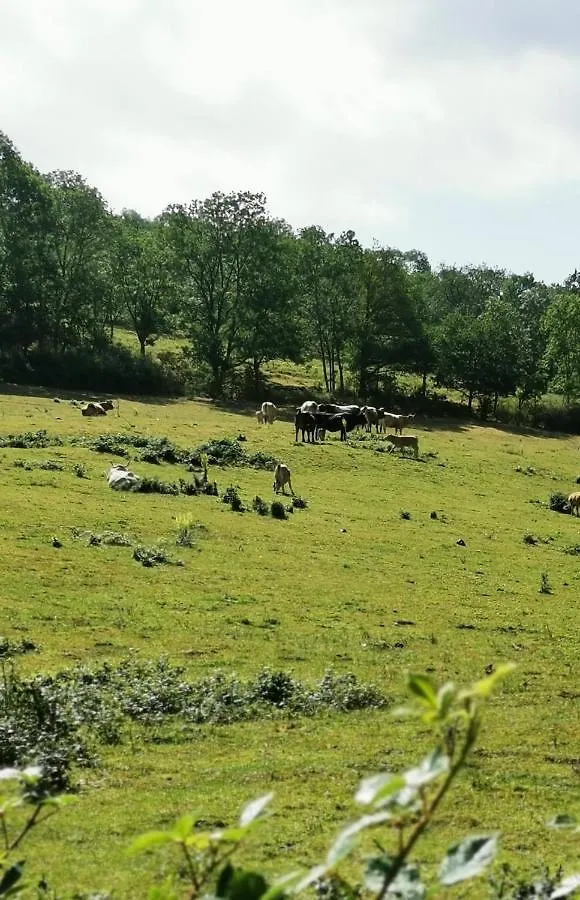 Evasion Nature Et Convivialite Sourcieux-les-Mines France